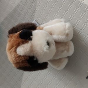 Russ st Bernard dog
